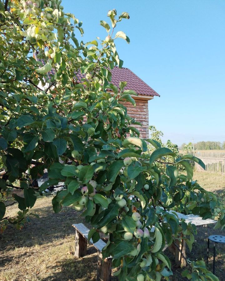 дом р-н Омский Дружинское сельское поселение, СНТ Красная Горка, Омск фото 2