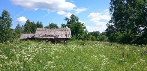 земля р-н Сокольский д Колобовка фото 3