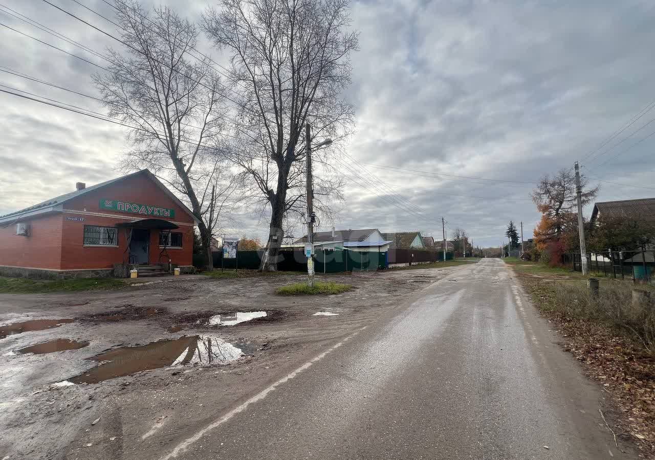 земля городской округ Воскресенск д Чемодурово ул Зеленая 31 62 км, Воскресенск, Новорязанское шоссе фото 5