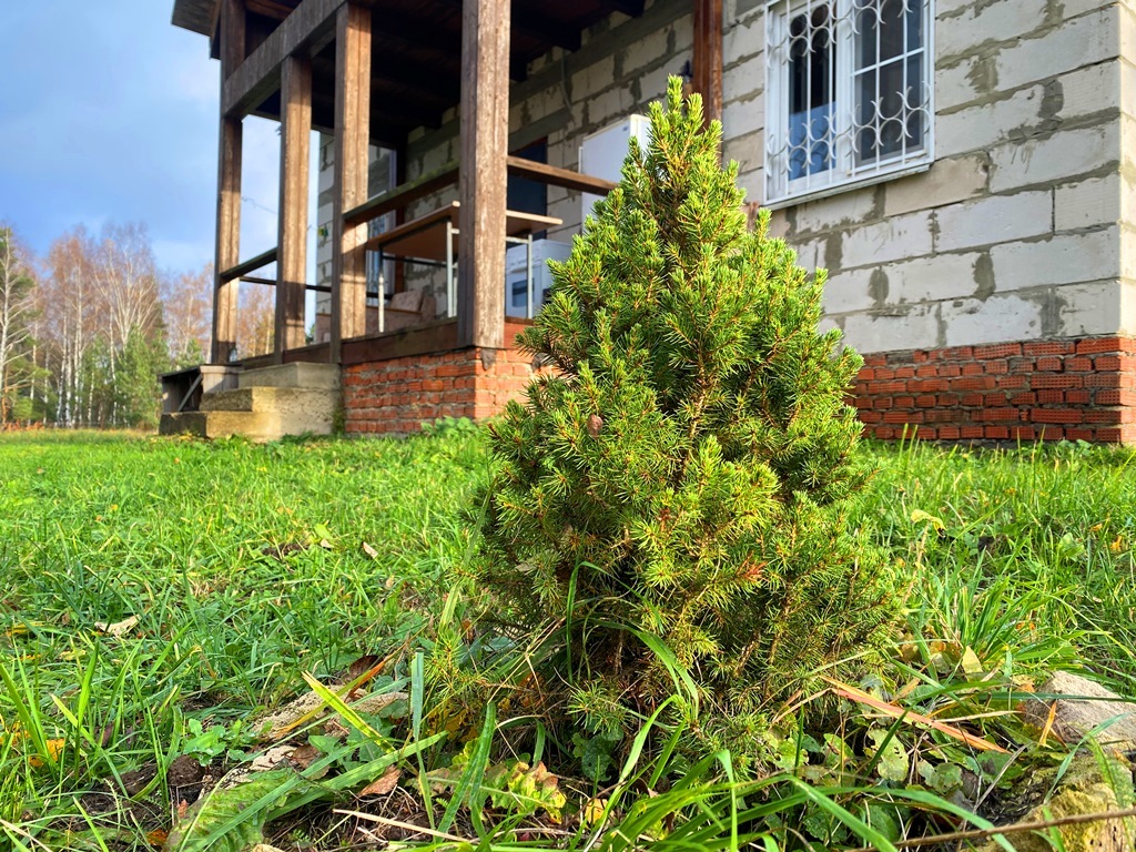 дом городской округ Егорьевск д Ларинская фото 18