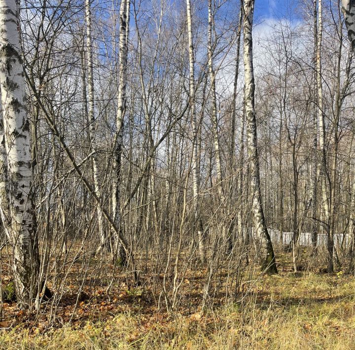 земля городской округ Красногорск д Глухово Волоколамская фото 1