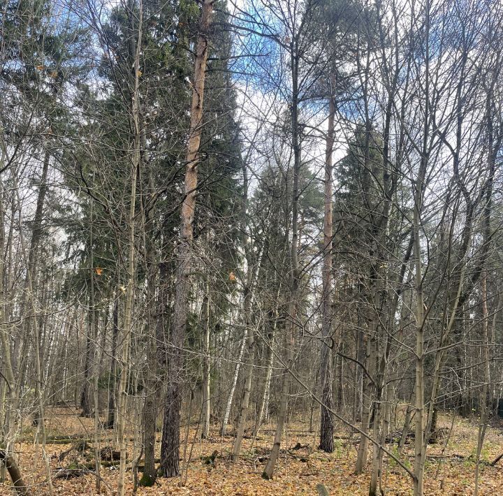 земля городской округ Красногорск д Глухово Волоколамская фото 3