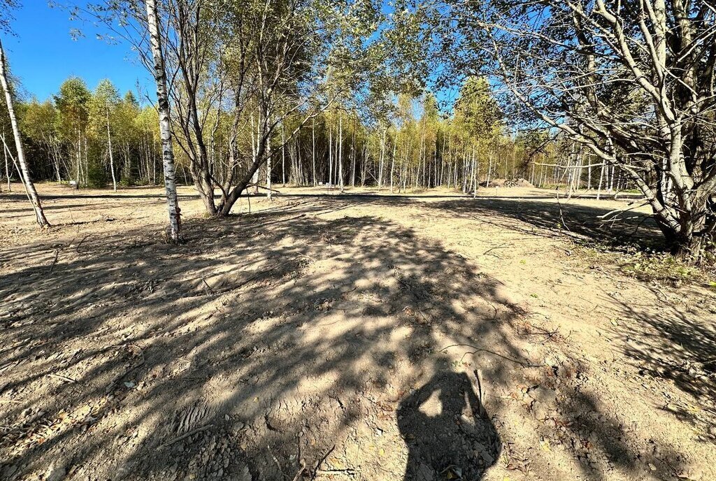 земля городской округ Рузский д Андрейково фото 22