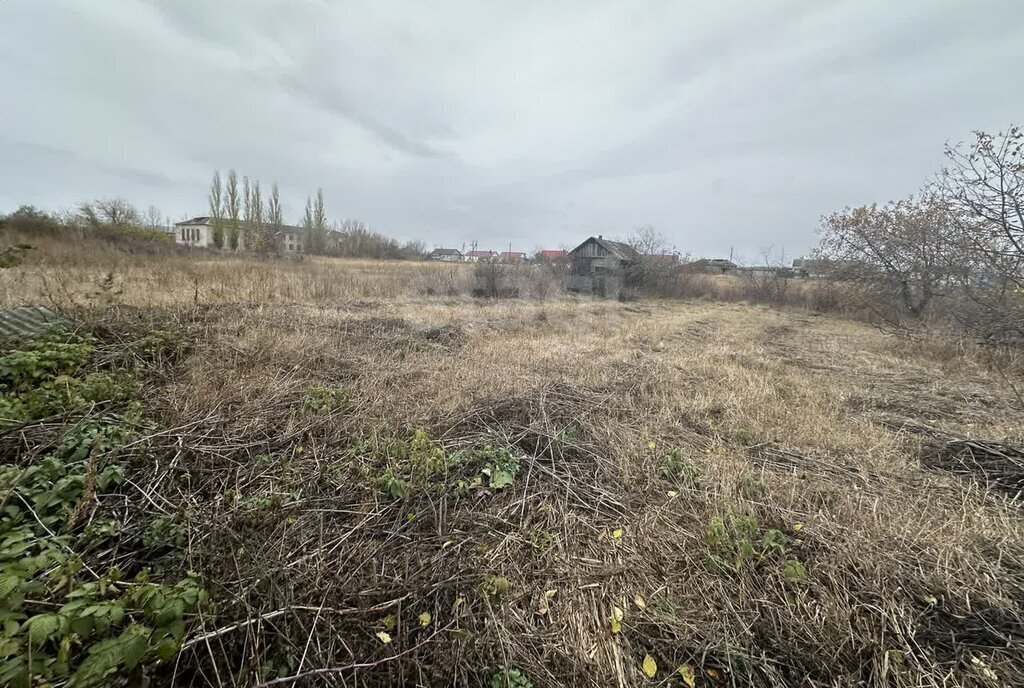 земля р-н Борисоглебский с Тюковка ул Советская фото 1