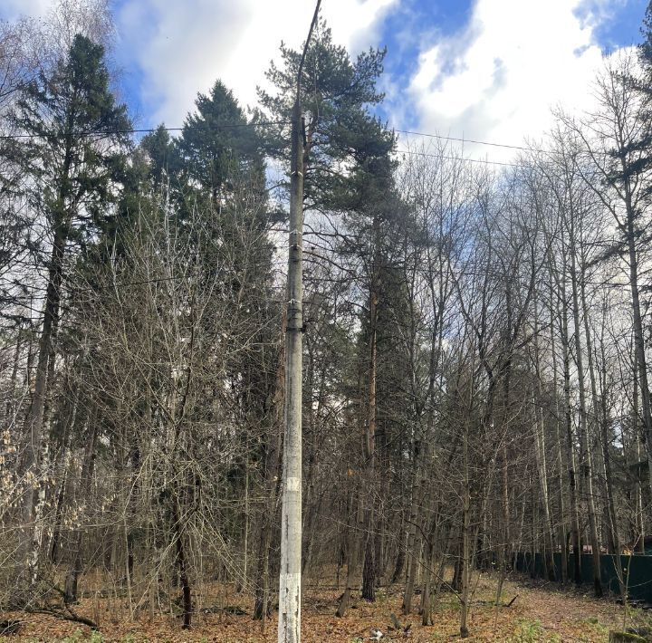 земля городской округ Красногорск д Глухово Волоколамская фото 3