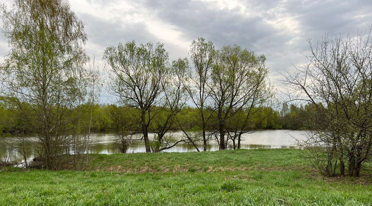 земля городской округ Раменский с Салтыково фото 3