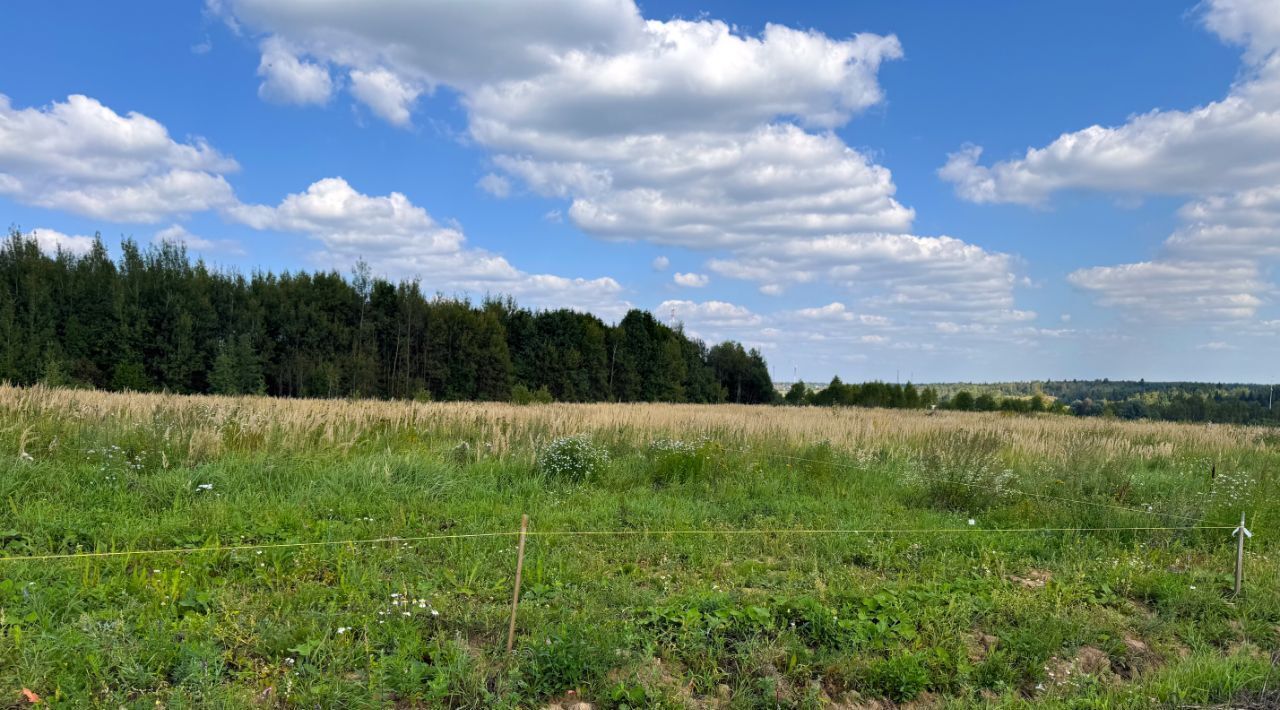 земля 282, Дмитровский городской округ, Медведки кп фото 7