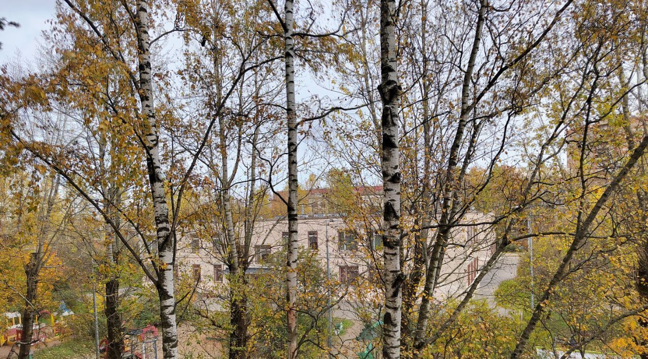 квартира г Санкт-Петербург метро Проспект Ветеранов пр-кт Народного Ополчения 175 фото 15