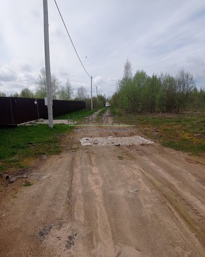 земля р-н Новгородский д Васильевское Ракомское сельское поселение, Панковка фото 2