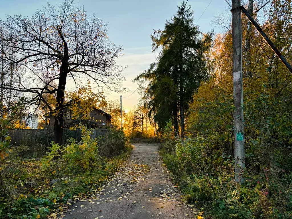 квартира р-н Выборгский г Выборг пер Светогорский 7 фото 15