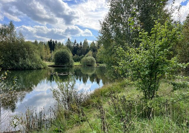 с Бужаниново ул Советская 35 68 км, Краснозаводск, Ярославское шоссе фото