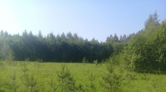 д Лисавы Переславль-Залесский городской округ фото