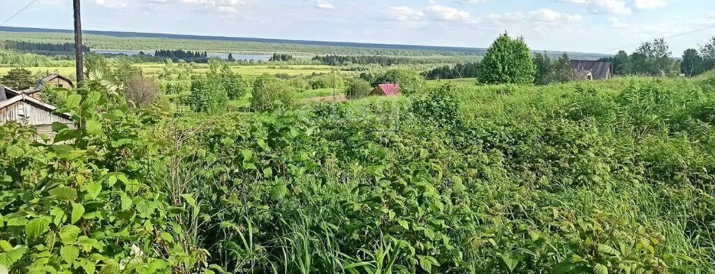 земля р-н Сыктывдинский д Парчег местечко Пешкапиян фото 1