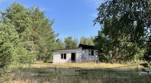 р-н Псковский снт Ветеран Торошинская волость фото