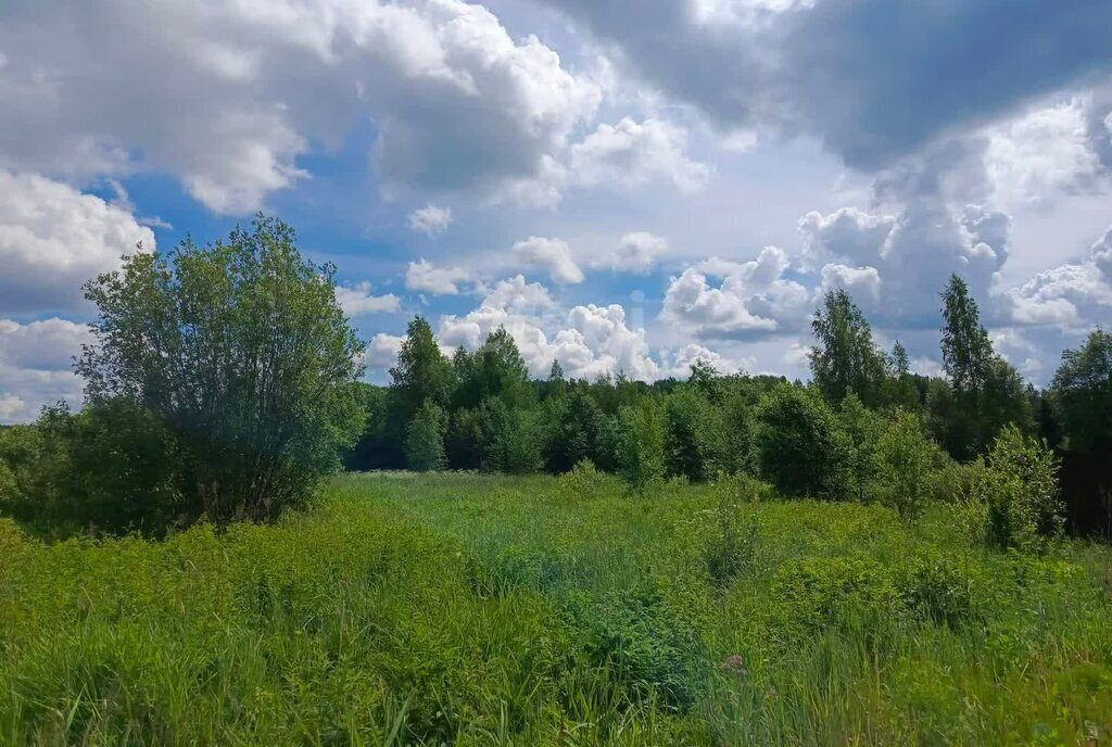 земля р-н Киришский г Кириши Киришское городское поселение фото 2