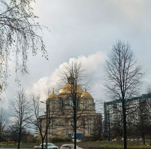 метро Комендантский Проспект ул Долгоозёрная 5к/1 фото