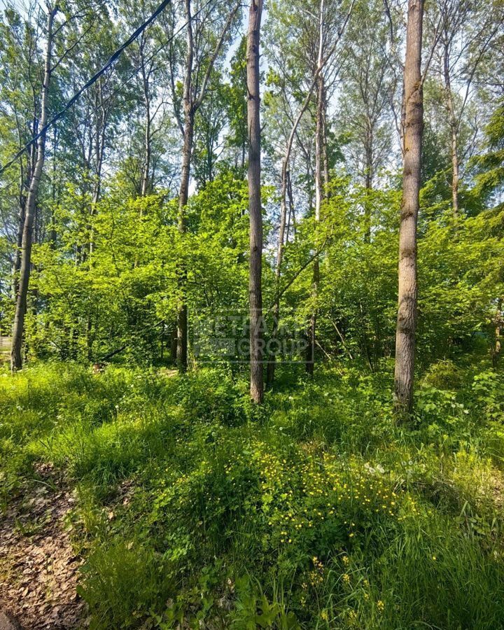 земля городской округ Пушкинский п Софрино 28 км, коттеджный пос. Цернское-2, 210, Ярославское шоссе фото 5