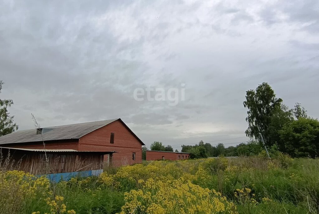 производственные, складские Каменский сельсовет, Берёзовая Роща, Районная улица, посёлок Советский фото 11