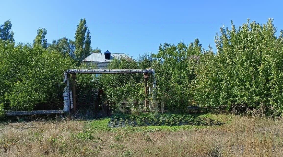 дом р-н Добринский ж/д_ст Плавица ул Школьная 4 Богородицкий сельсовет фото 4