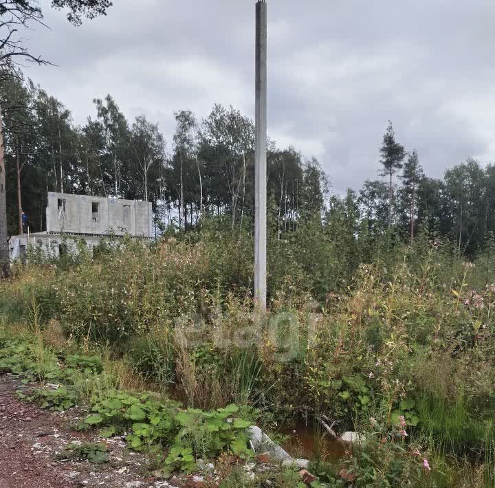 земля р-н Всеволожский п Углово Романовское с/пос, мест., ул. Мира, 3 фото 2