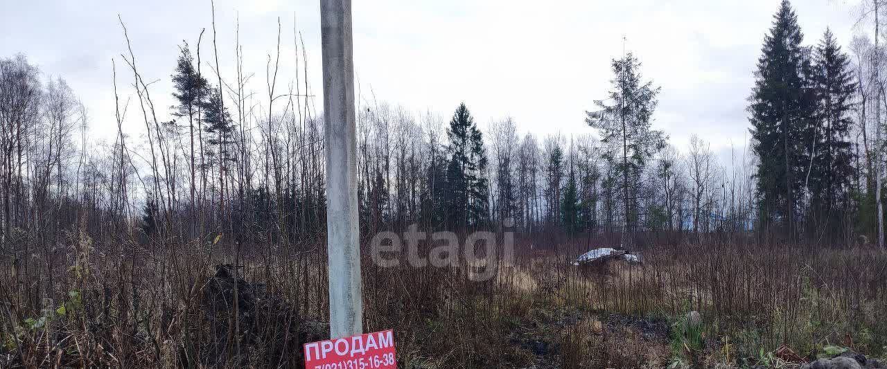 земля р-н Всеволожский п Углово Романовское с/пос, мест., ул. Мира, 3 фото 8