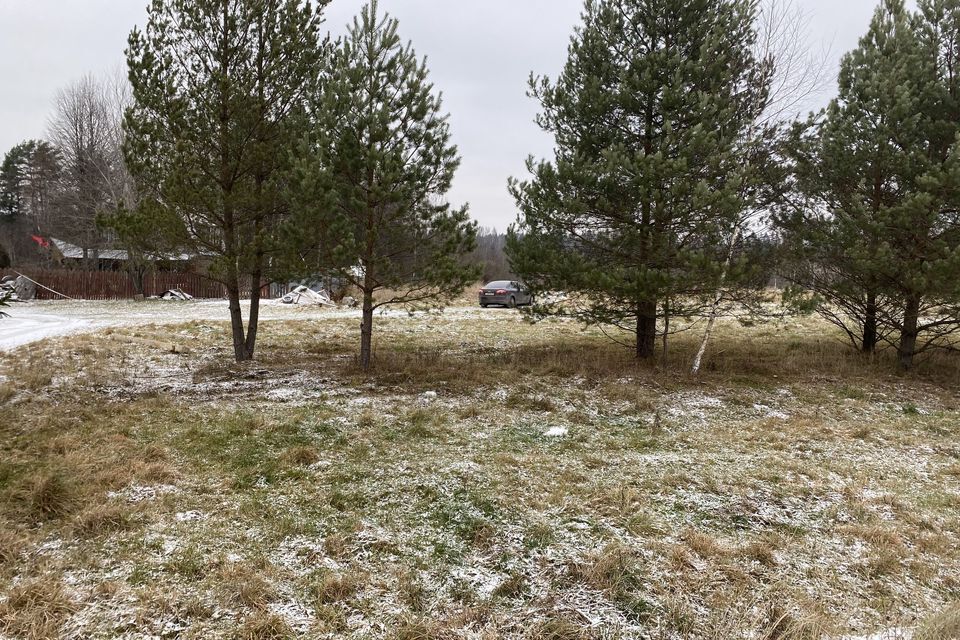 земля городской округ Можайский деревня Замошье фото 1