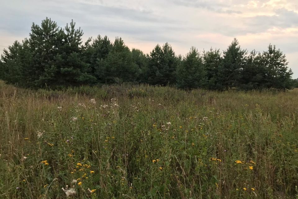 земля городской округ Егорьевск д Мартыновская 2 фото 7