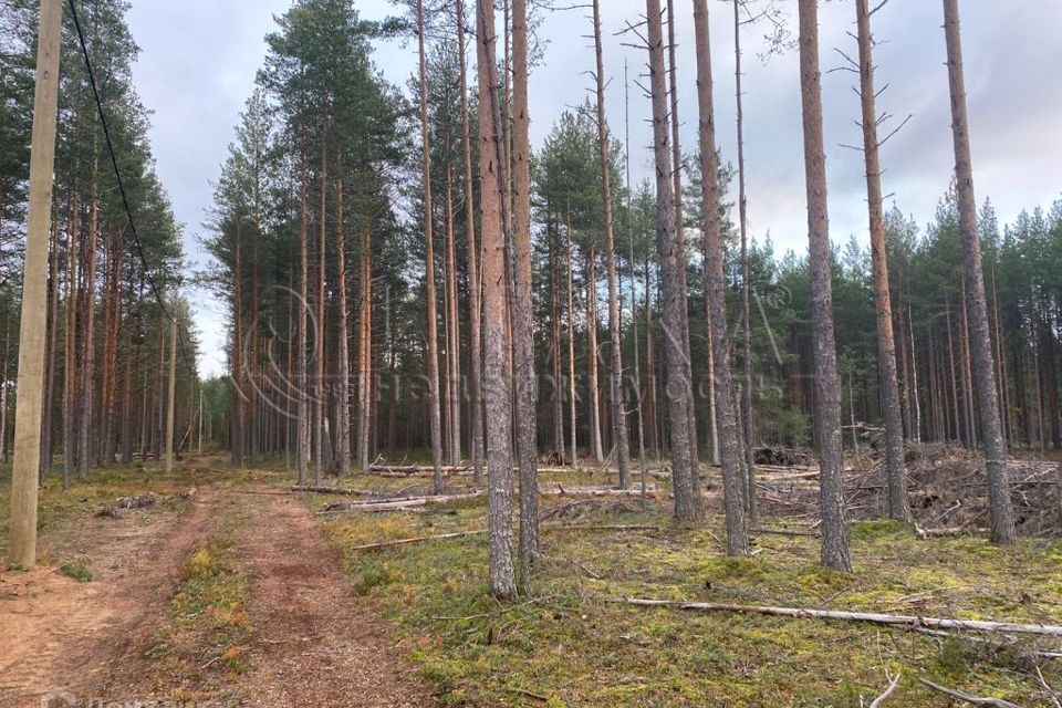 земля р-н Лодейнопольский г Лодейное Поле Каномский переезд, 1 фото 2