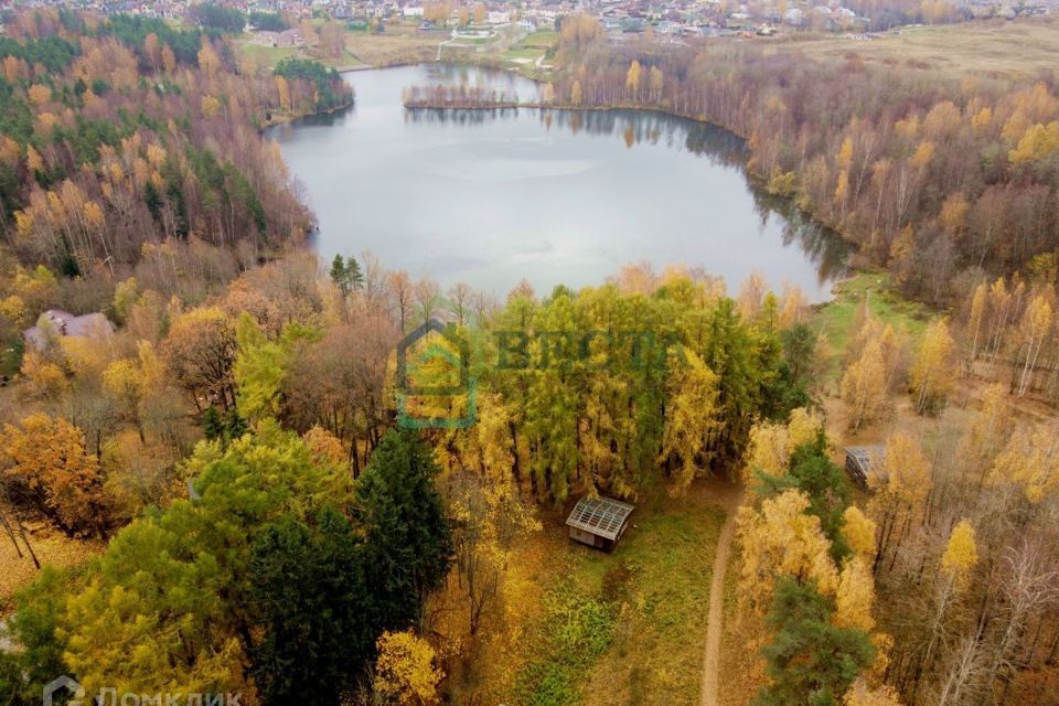 земля р-н Всеволожский фото 1