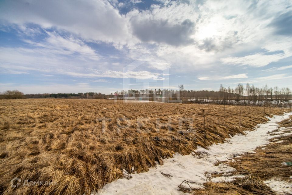 земля р-н Тосненский фото 2