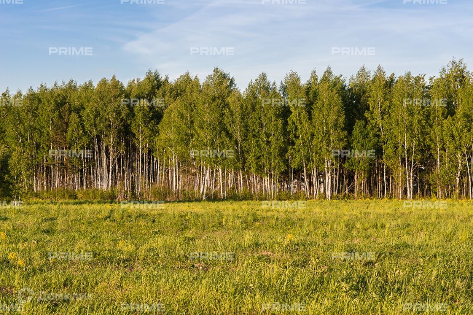 земля городской округ Одинцовский ДСК Рапс, 9 фото 1