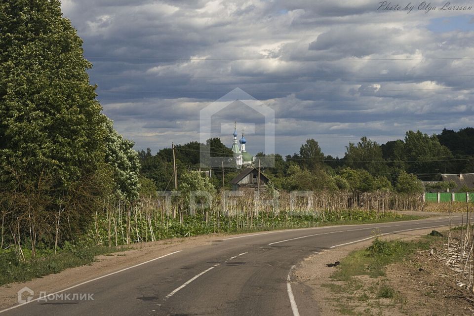 земля р-н Лужский Петровская Горка фото 5