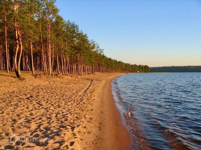 земля р-н Выборгский п Приветнинский карьер ул Яблоневая 12 фото 9