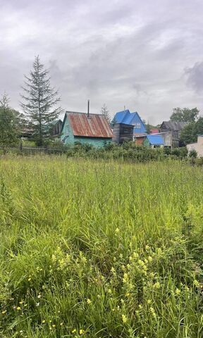 Речная ул, Петропавловск-Камчатский, садоводческое некоммерческое товарищество Берёзка фото