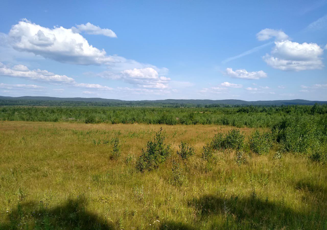 земля р-н Пригородный с Николо-Павловское фото 2