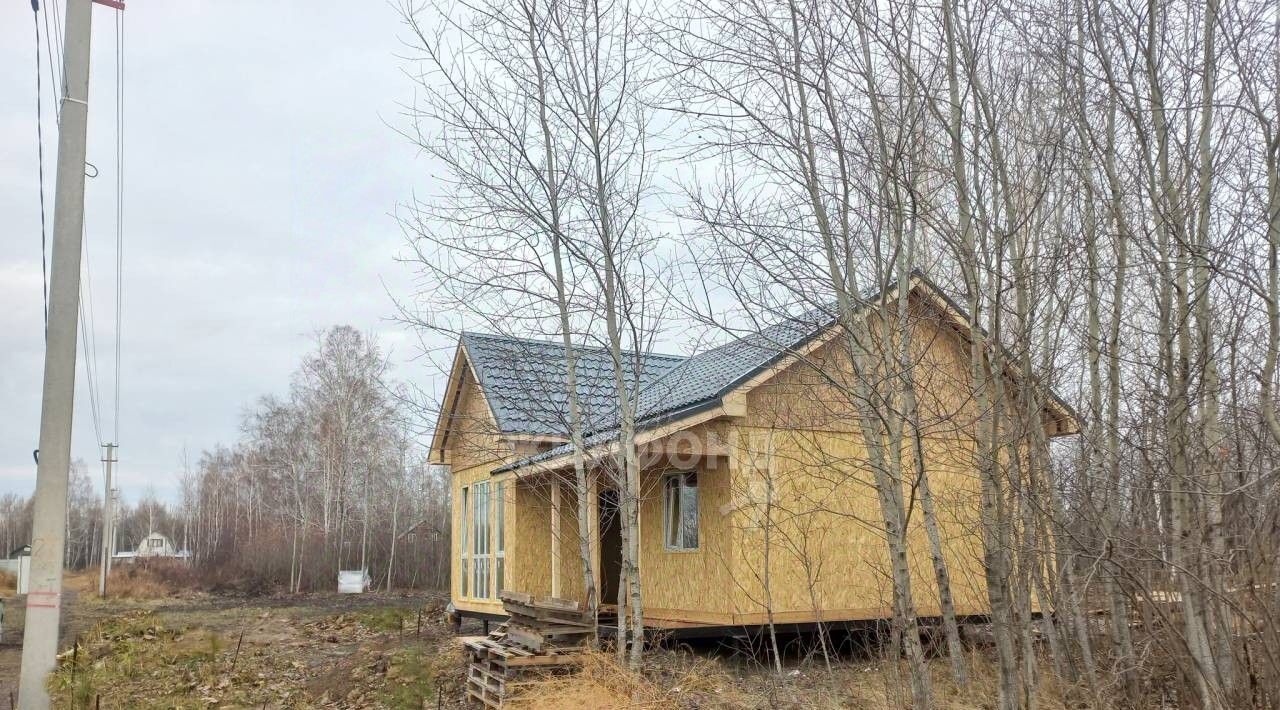 дом р-н Новосибирский снт Рябинка обская Толмачевский сельсовет фото 4