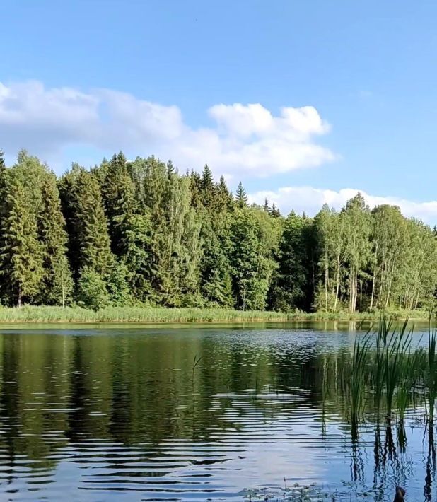 дом р-н Ярцевский г Ярцево ул Яблоневая 6 фото 36