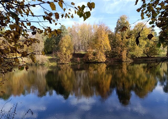 17 км, 54, Красногорск, Рублёво-Успенское шоссе фото