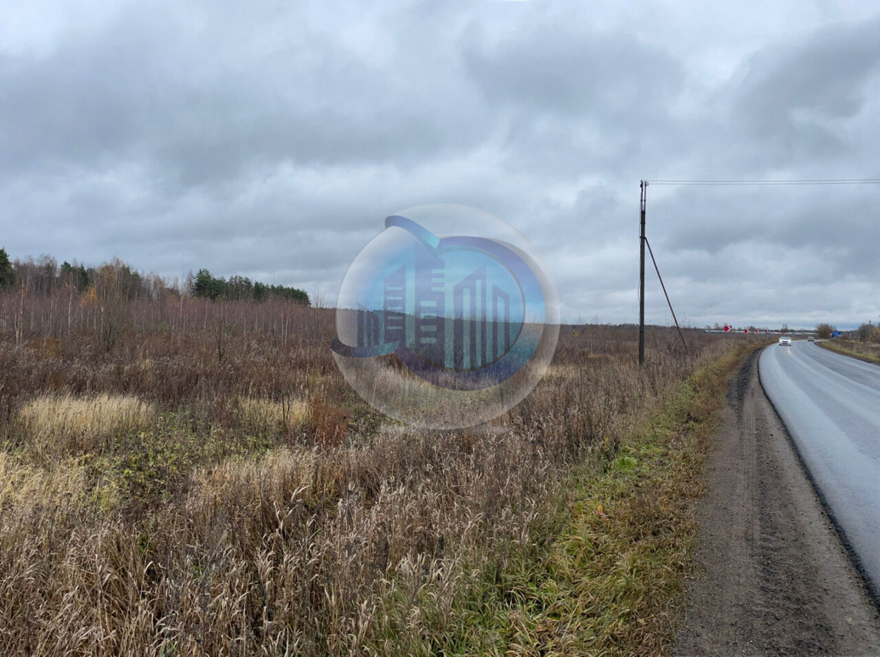 земля городской округ Раменский д Толмачево 1-9 кв-л фото 9