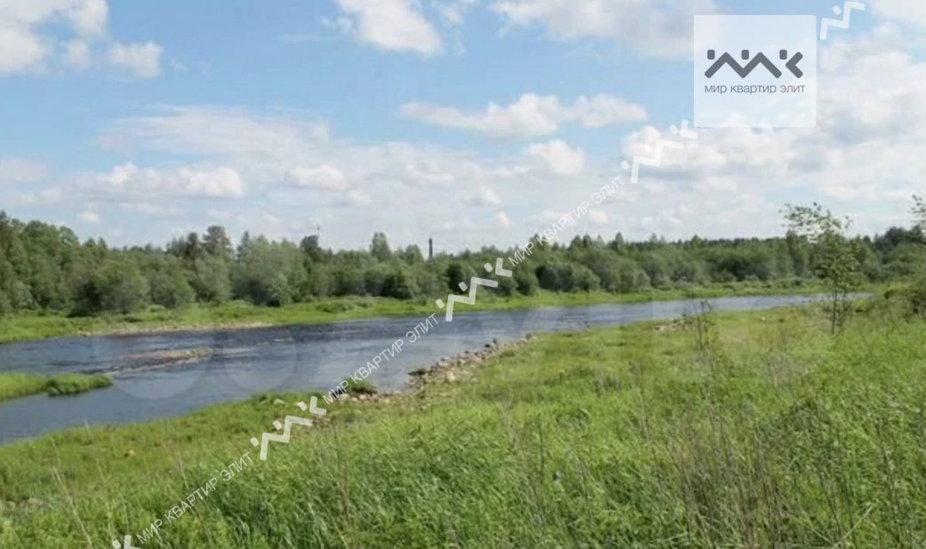 земля р-н Кингисеппский г Кингисепп Таллинское шоссе, 87 км, Большелуцкое сельское поселение фото 6