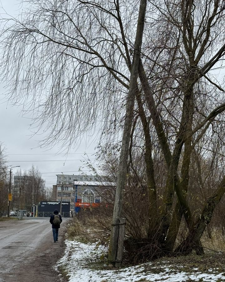 гараж г Великий Новгород пер Садовый р-н Деревяницы фото 5