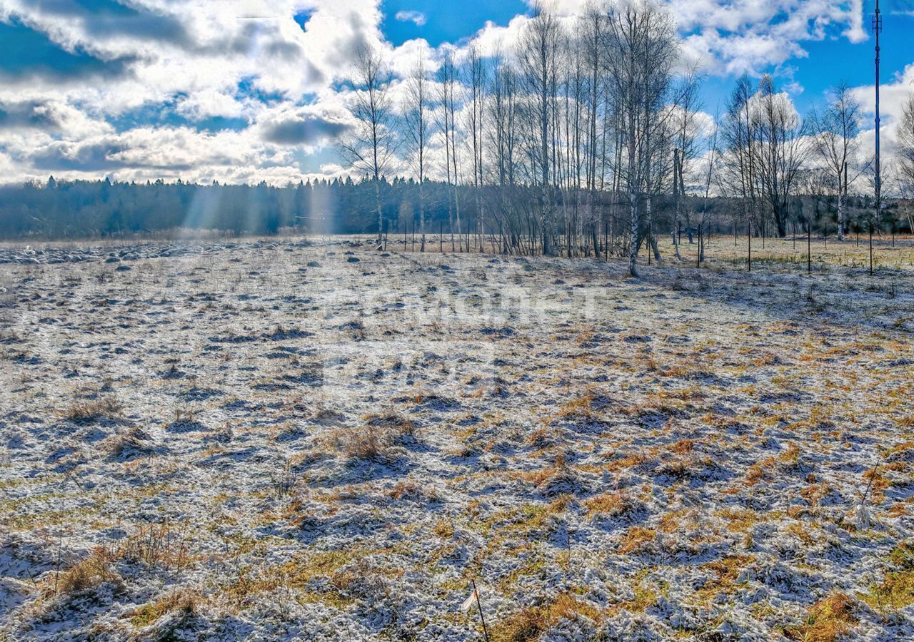 земля городской округ Солнечногорск д Мерзлово 51 км, Солнечногорск, Рогачёвское шоссе фото 3