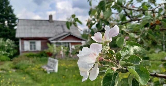 Трасса Скандинавия, 112 км, Селезнёвское сельское поселение, Выборг фото