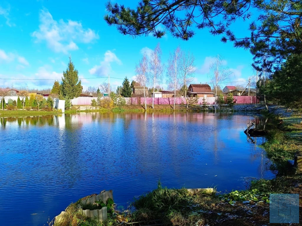 земля городской округ Солнечногорск д Бунтеиха Ленинградское фото 1