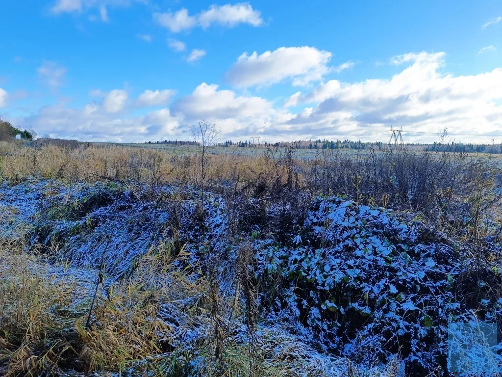 земля городской округ Солнечногорск д Бунтеиха Ленинградское фото 5