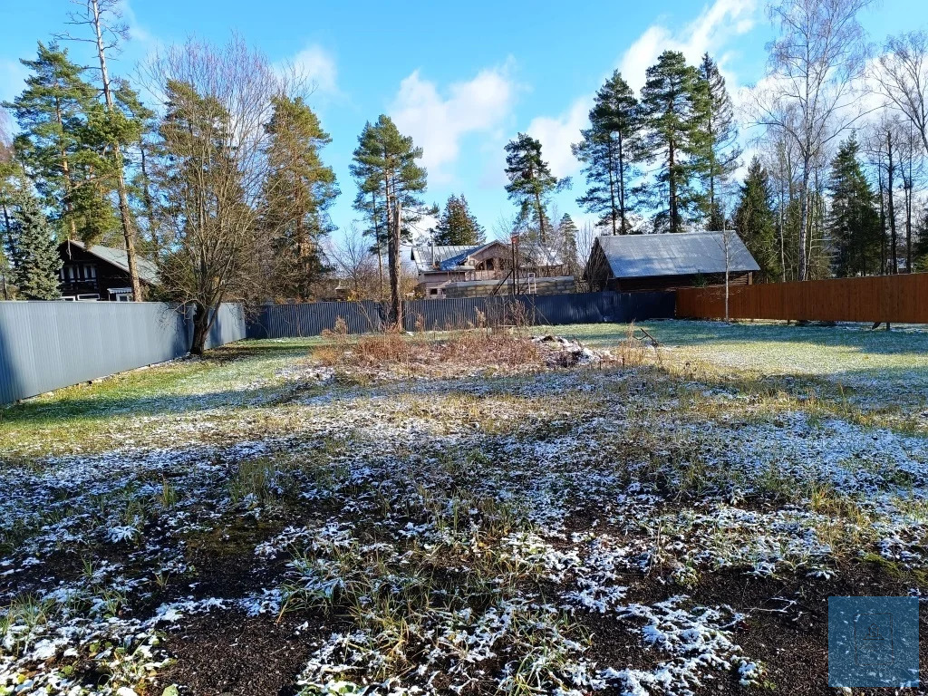 земля городской округ Солнечногорск п Радищево радищево, Ленинградское фото 2