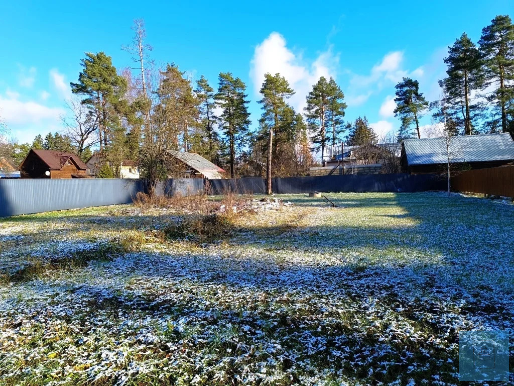 земля городской округ Солнечногорск п Радищево радищево, Ленинградское фото 5