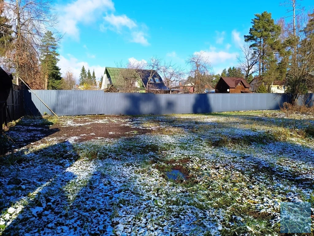 земля городской округ Солнечногорск п Радищево радищево, Ленинградское фото 6