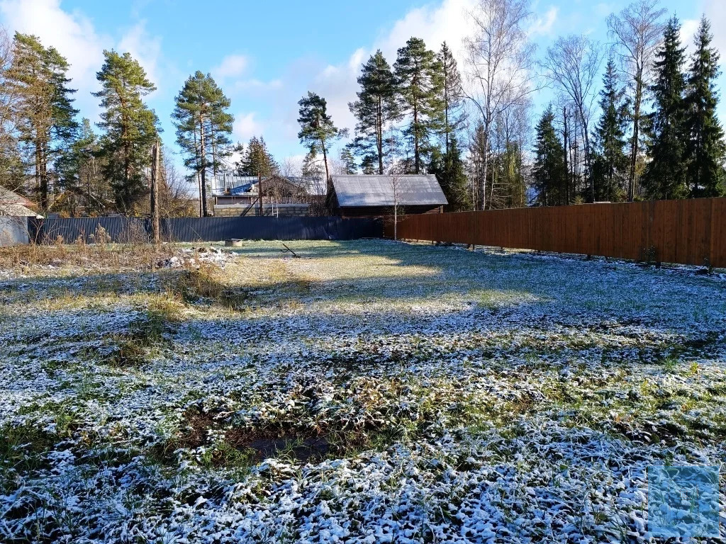 земля городской округ Солнечногорск п Радищево радищево, Ленинградское фото 7