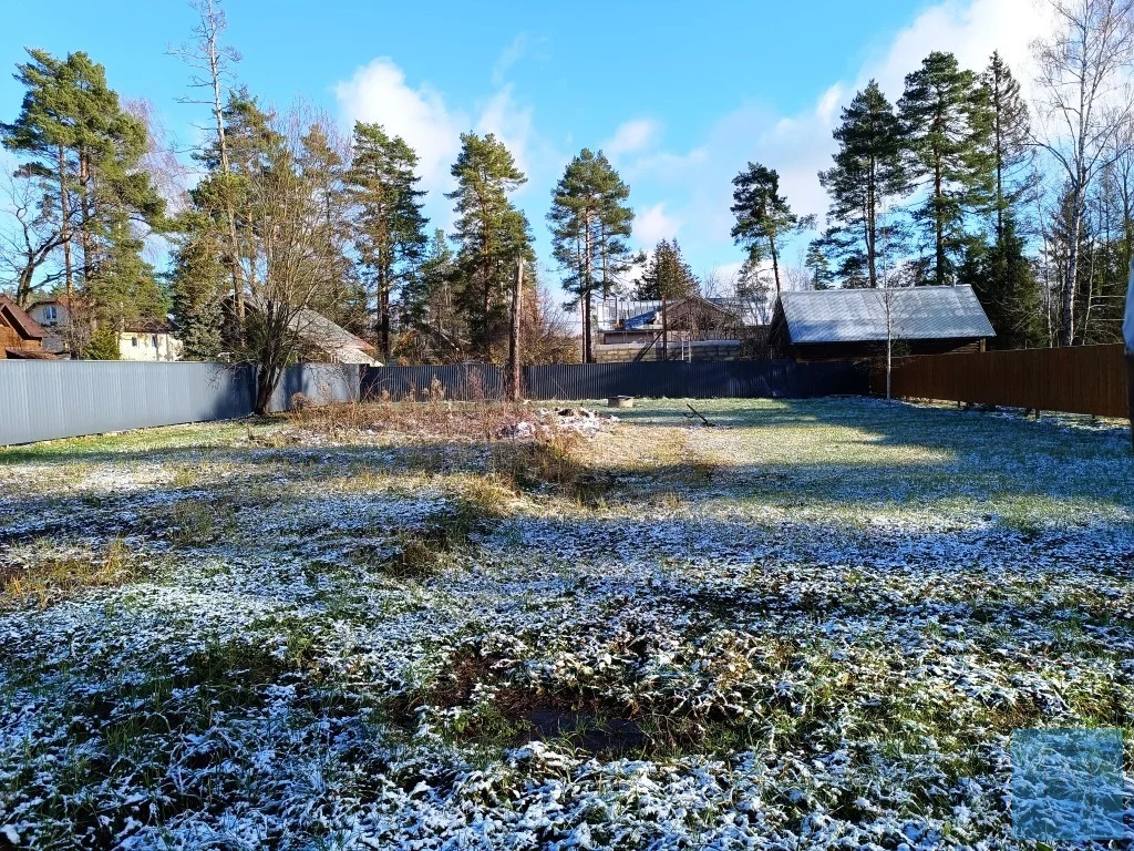 земля городской округ Солнечногорск п Радищево радищево, Ленинградское фото 8